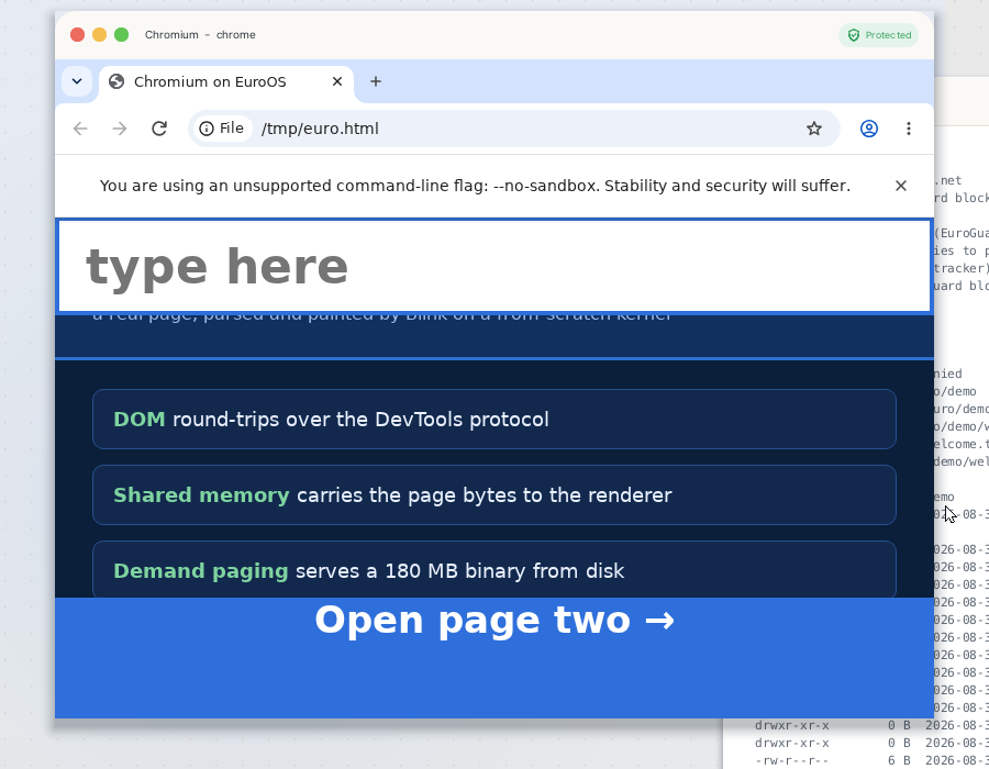 Chromium running in a window on the EuroOS desktop, showing tab strip, address bar with the loaded page URL, and the fully rendered test page